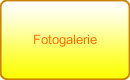 Fotogalerie