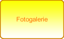 Fotogalerie